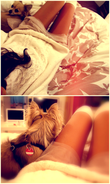 pixlr (13)