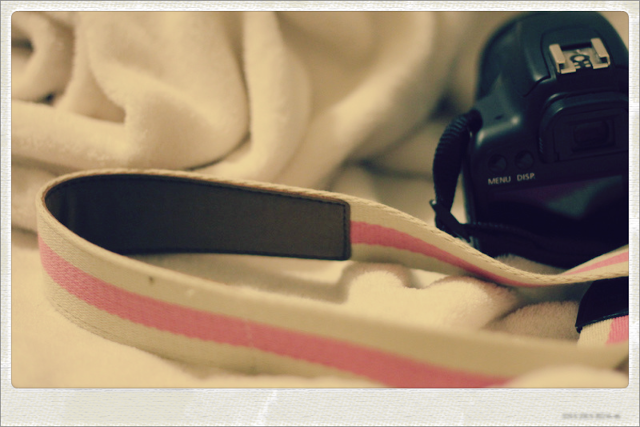 pixlr (52)