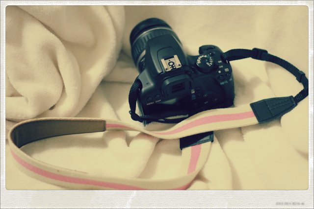 pixlr (53)