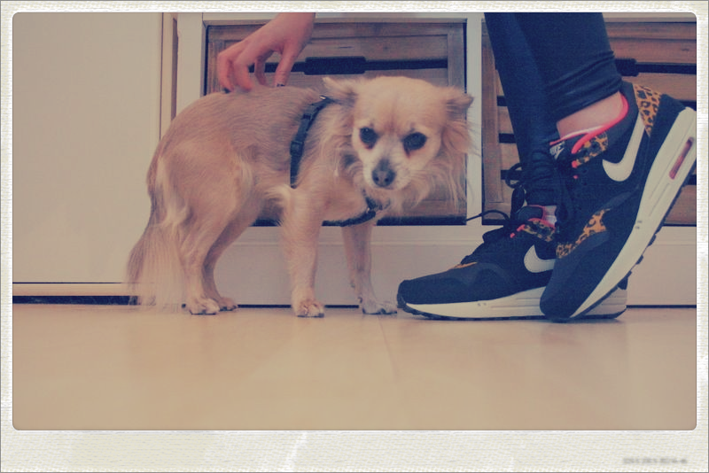 pixlr15