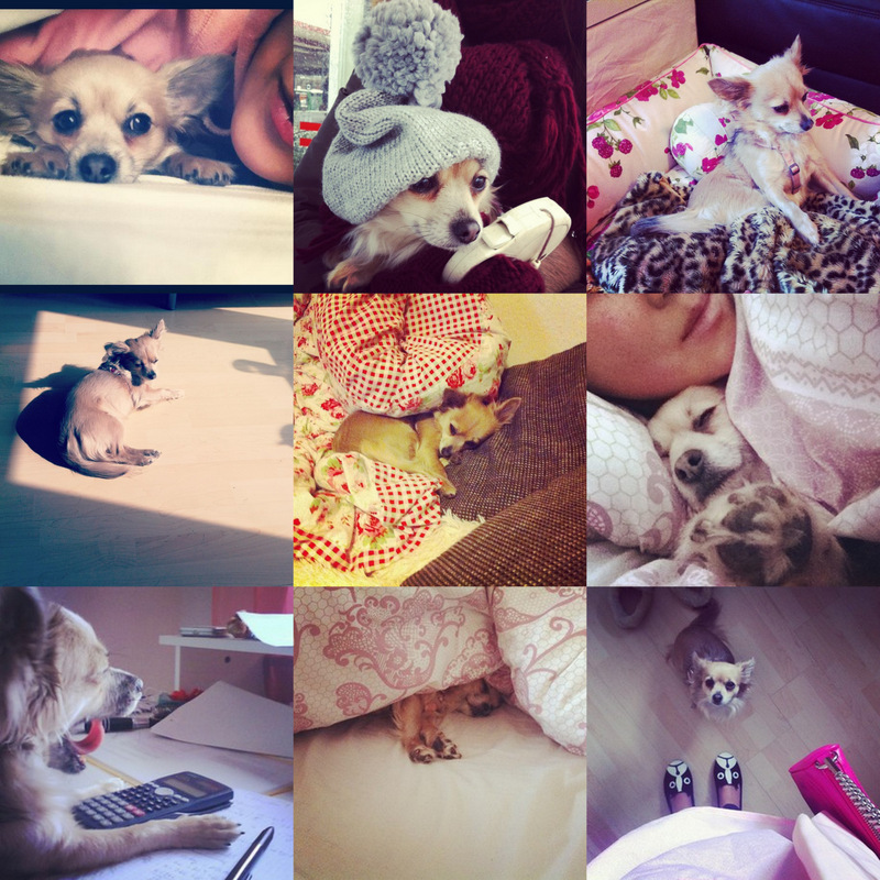 Instagram