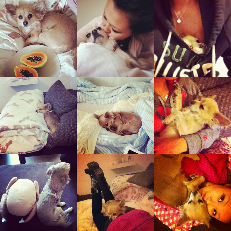 Instagram1